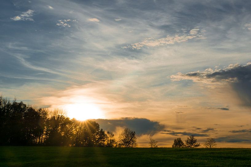 Warm sunlight behind trees at dawn with wide endless green meadow by adventure-photos