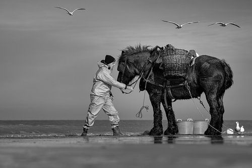 Garnaalvisser te paard in Oostduinkerke
