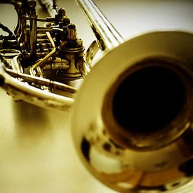 Trumpet in close-up with reflections by Catalina Morales Gonzalez