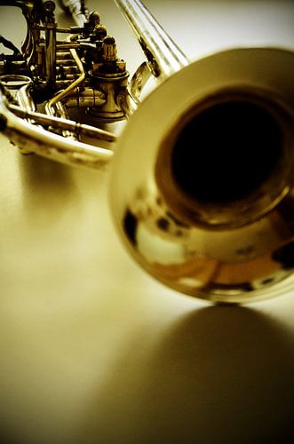 Trumpet in close-up with reflections