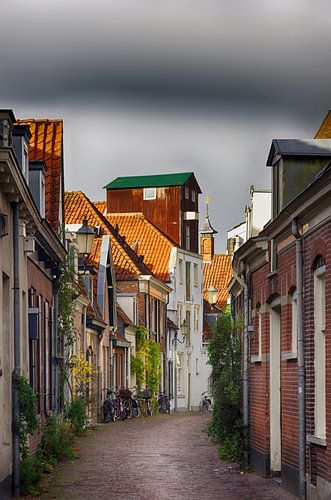 Vijver in historisch Amersfoort