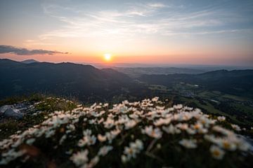 Flowery sunset at Sorgschrofen by Leo Schindzielorz