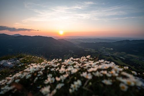 Bloemrijke zonsondergang bij Sorgschrofen