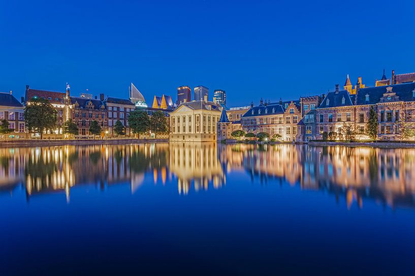 Mauritshuis en Skyline Den Haag van Tom Roeleveld