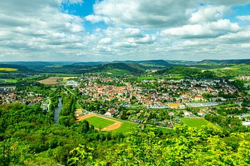 Zomerwandeling door de Saale vallei naar het prachtige kasteel Leuchtenburg bij Kahla - Thüringen - Duitsland van Oliver Hlavaty