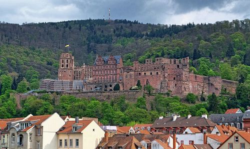 Burg in Heidelberg