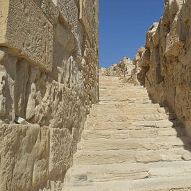 Marcia van de Bovenkamp Profilfoto