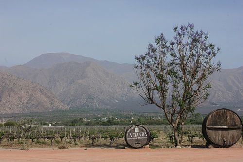 Der alte Weinbergstrog