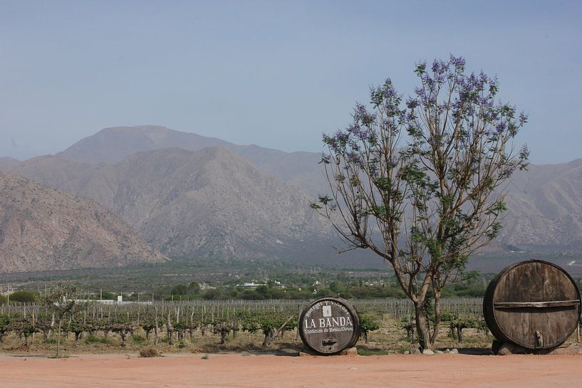Der alte Weinbergstrog von Rominique Kea