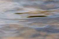 Float