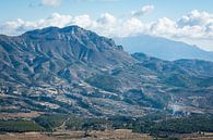 Tibi contre la montagne Peña Migjorn, Espagne par Arja Schrijver Photographe Aperçu