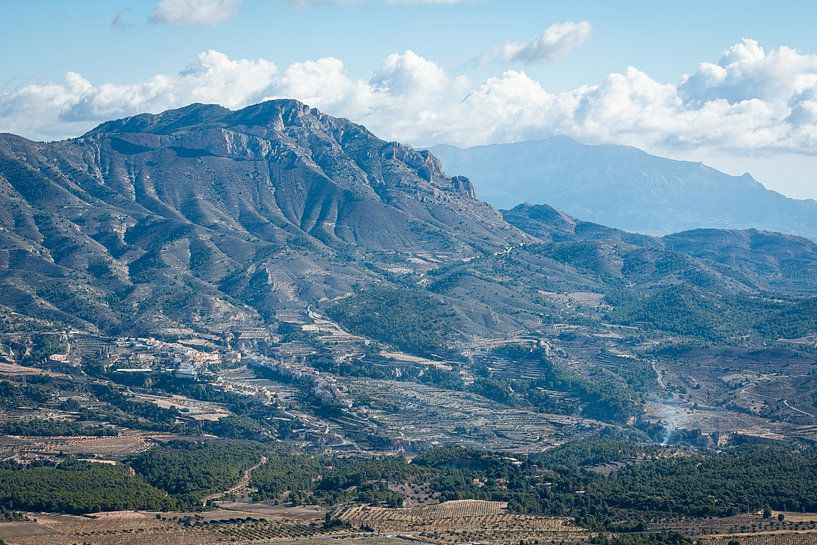 Tibi contre la montagne Peña Migjorn, Espagne par Arja Schrijver Photographe