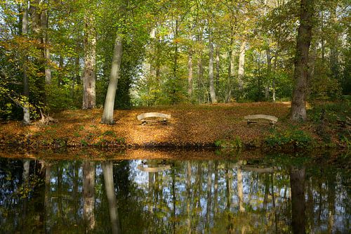 Benches at the water