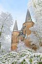 Broederpoort dans Kampen dans Overijssel, Pays Bas pendant l'hiver par Sjoerd van der Wal Photographie Aperçu
