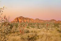 Sunrise Bungle Bungles