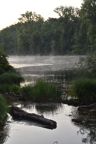 Morning mist on the River Kupa 1