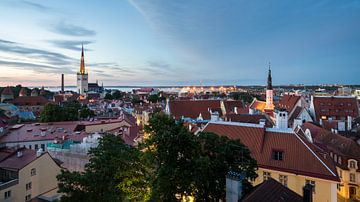 Tallinn vue du ciel sur Scott McQuaide