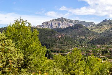 Landschap op de Coll de Soller in Mallorca van Reiner Conrad