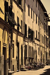 Toskana Italien Lucca Stadtzentrum Alt