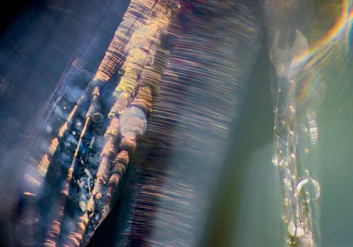 abstracte watrjuffer