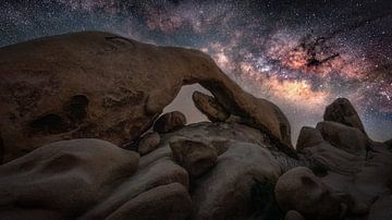 Arch Rock, Joshua Tree National Park van Photo Wall Decoration