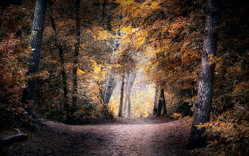 Don't Let It Bring You Down