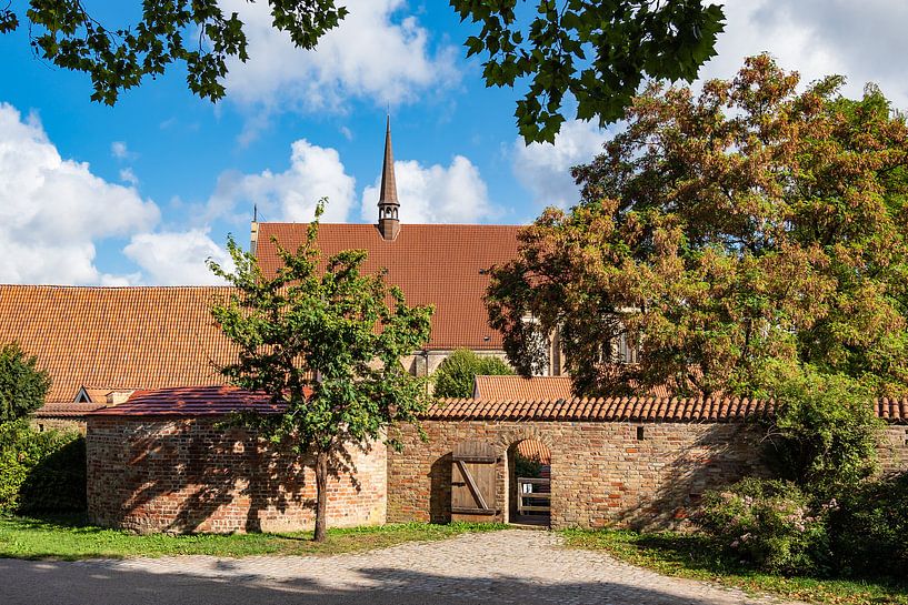 View to a historical building in Rostock, Germany by Rico Ködder