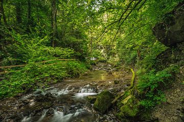 waterval Oostenrijk van Maurice Hoogeboom