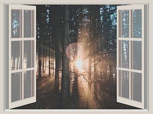 Fensterbilder Sunrise von Co Seijn