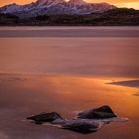 Lofoten Goldener Sonnenuntergang von Harald Marchhart