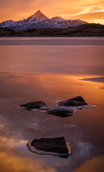 Lofoten Goldener Sonnenuntergang von Harald Marchhart