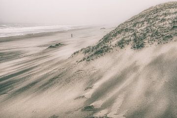 Storm op het strand