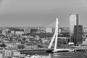 Erasmusbrücke Rotterdam.