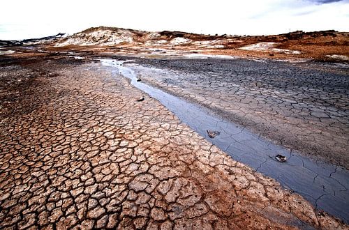 Landschap IJsland Myvatn