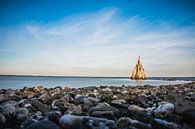 Arendshoofd - Zeeland van Mascha Boot thumbnail