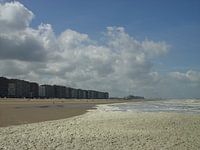 zeebloesem