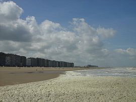 Meeresblüte von Johan Töpke