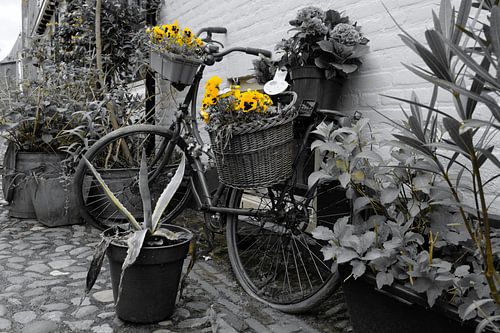 Bicycle with yellow violins