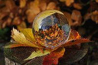 Autumn package