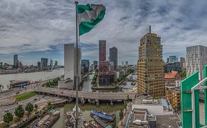 Rotterdam vanaf het Witte Huis