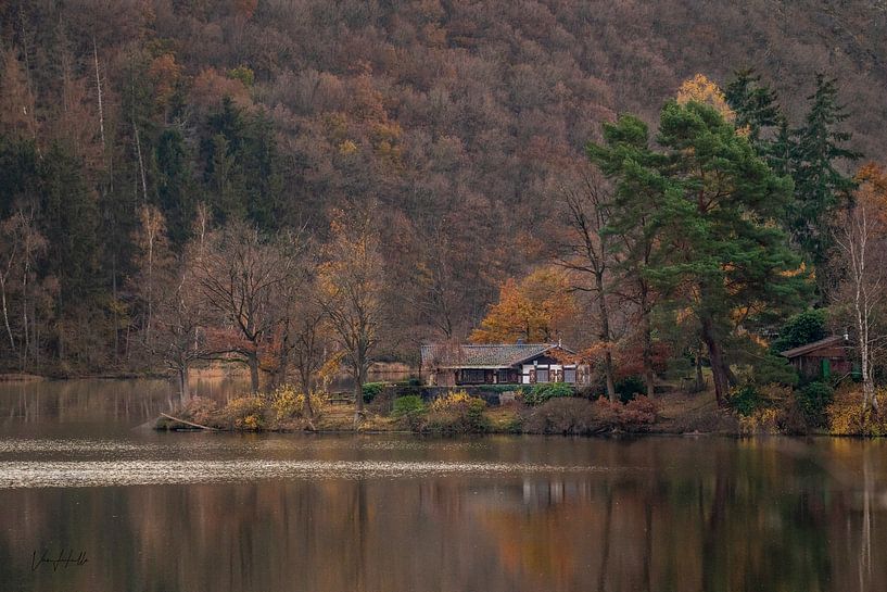 Das gemütliche Chalet im Wald. von lukas van hulle