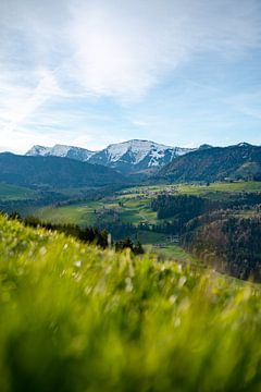 Lente-uitzicht op de Hochgrat en Steibis bij Oberstaufen van Leo Schindzielorz