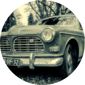 Volvo Amazon