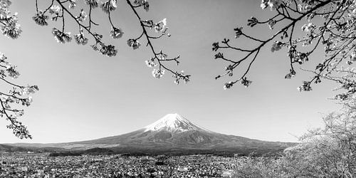 Fantastisch panoramisch uitzicht op de berg Fuji tijdens de kersenbloesem in monochrom