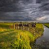 Onweer boven de polder van Bas Meelker