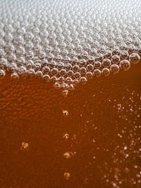 Détail d'un collier en mousse sur Mr White Takes Pictures