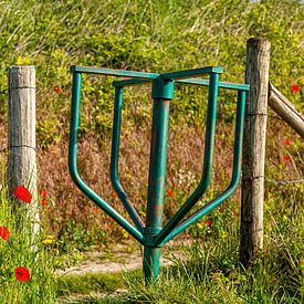 Turnstile between the poppies in South Limburg by John Kreukniet