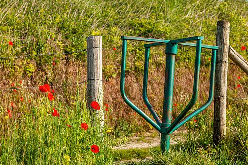 Turnstile between the poppies in South Limburg