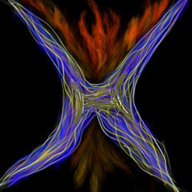 Phoenix by Neval's place