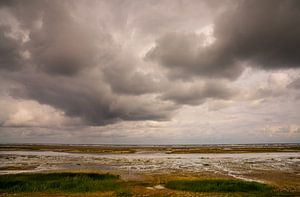 La plage verte de Ballum, Ameland